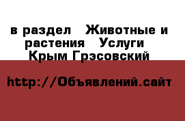  в раздел : Животные и растения » Услуги . Крым,Грэсовский